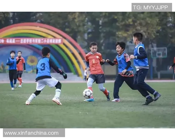 小小董足球：在绿茵场上追逐梦想的少年们的成长故事