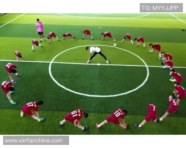 大连柳足球的崛起与发展探索如何重塑城市足球文化与未来之路